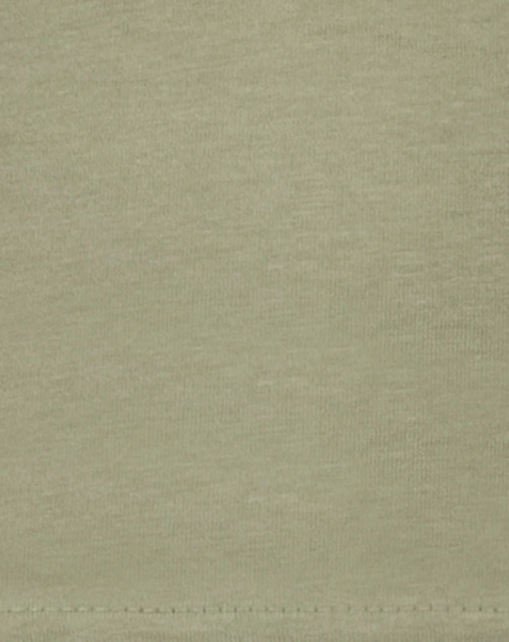 T-Shirt TORJÄGER in olive
