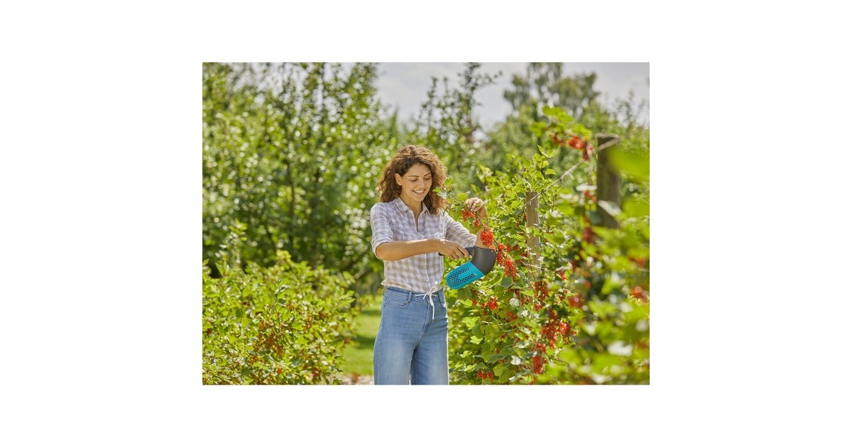 GARDENAcombisystem Bessenplukker fruitplukker  (Zwart/turquoise)