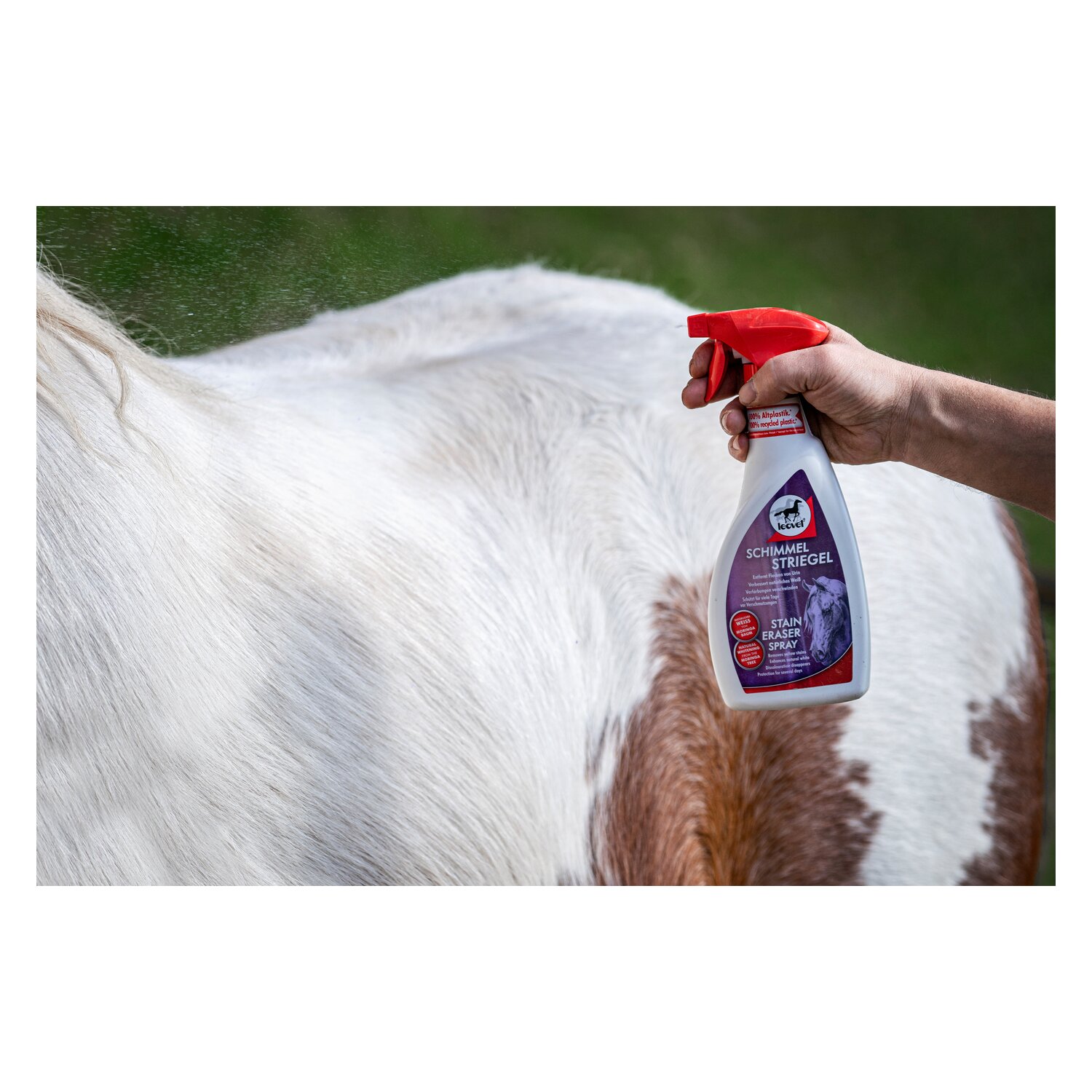 leovet Schimmel Striegel - 550 ml