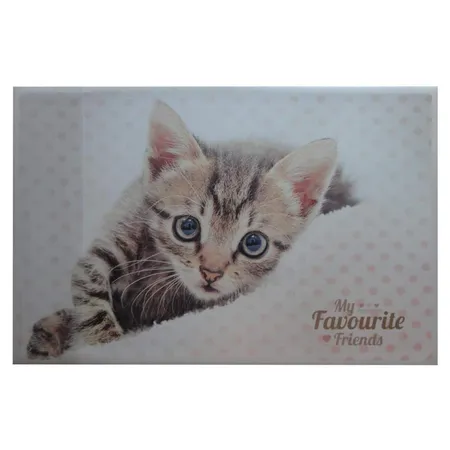Loer & Schäfer Schreibtischunterlage mit Katze 38,5 x 58,5 cm