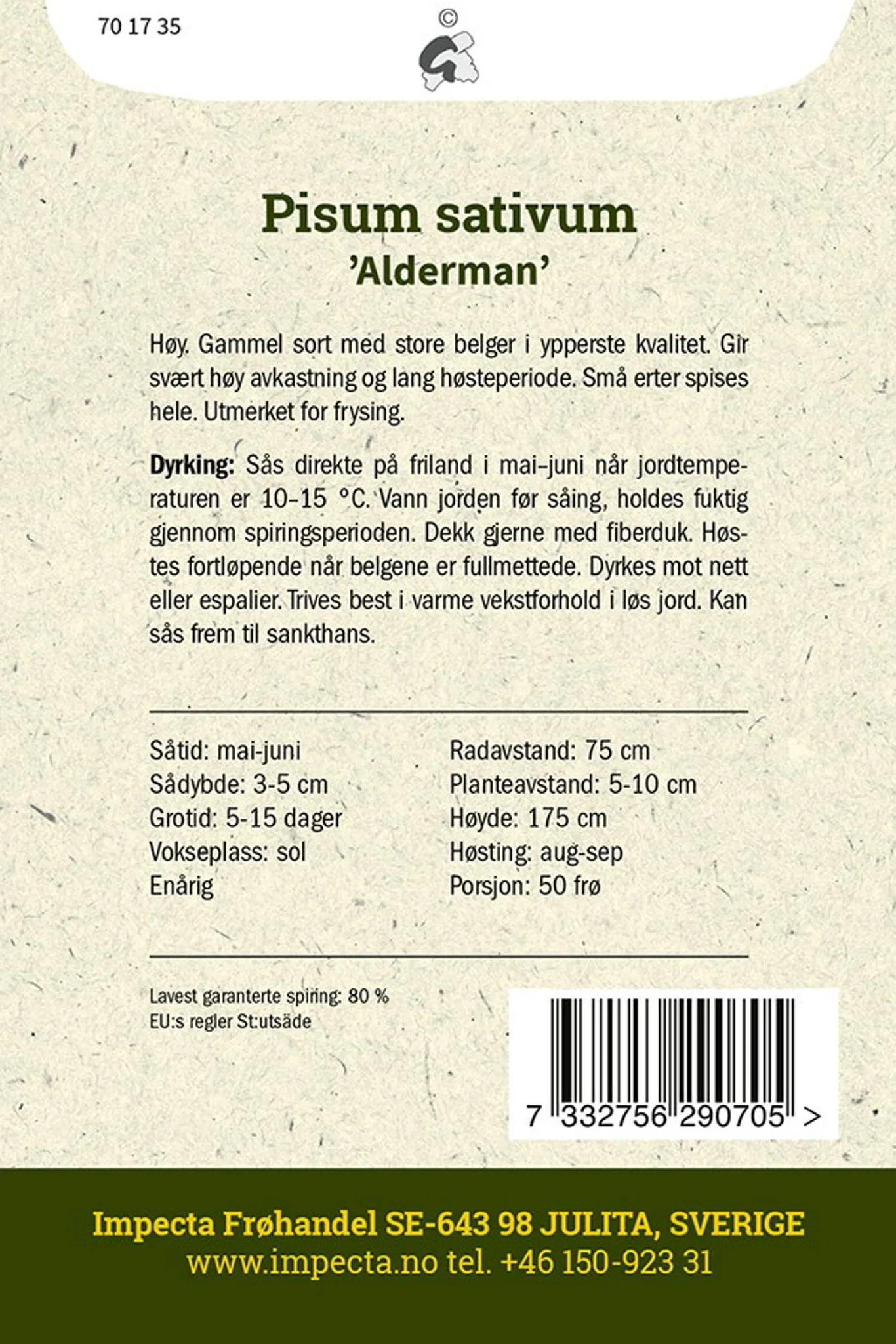 Pisum sativum 'Alderman' Margert 'Alderman'