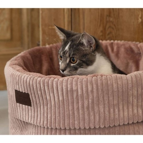 Cesta para gatos com almofada, desenhada pela Lotte.