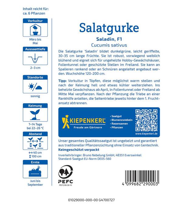 Kiepenkerl Saatgut Salatgurke 'Saladin'