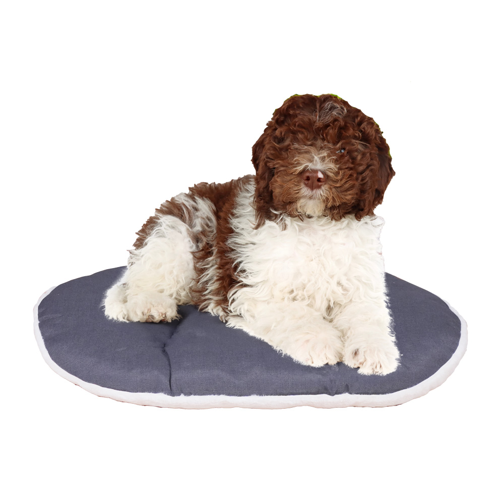 Ferplast panier chien chat - coussin pour chien chat - lavable en machine - tapis chien chat pour niches et voitures - lit pour