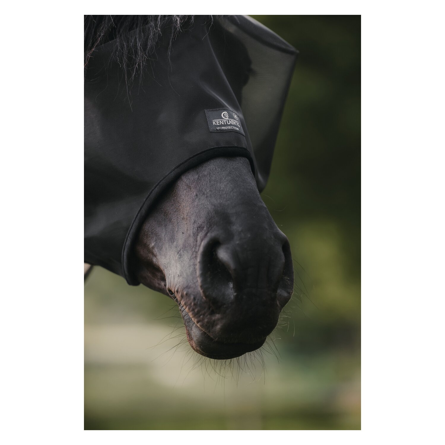 KENTUCKY Fliegenmaske Classic ohne Ohren  - black