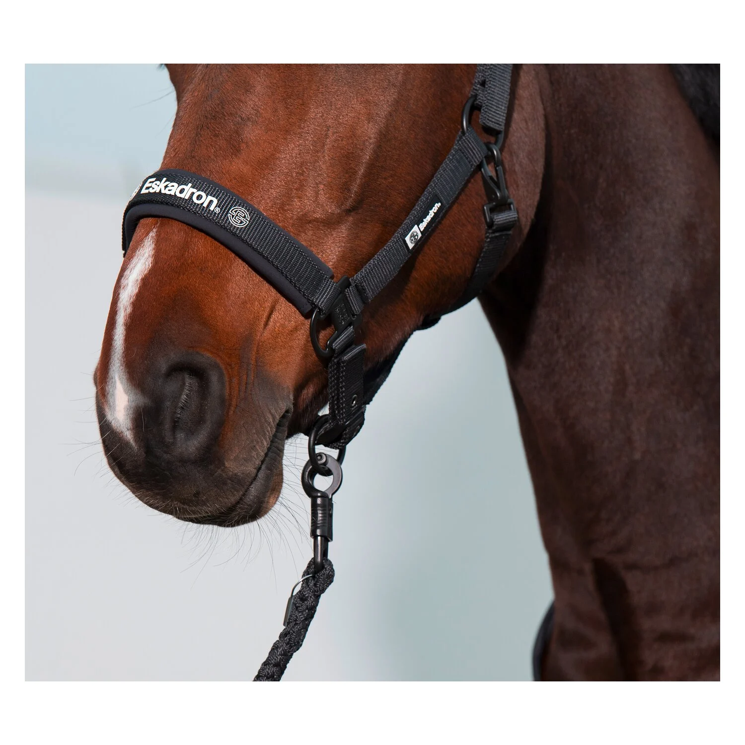 ESKADRON Dynamic Führstrick Regular Panikhaken  - black - Einheitsgröße