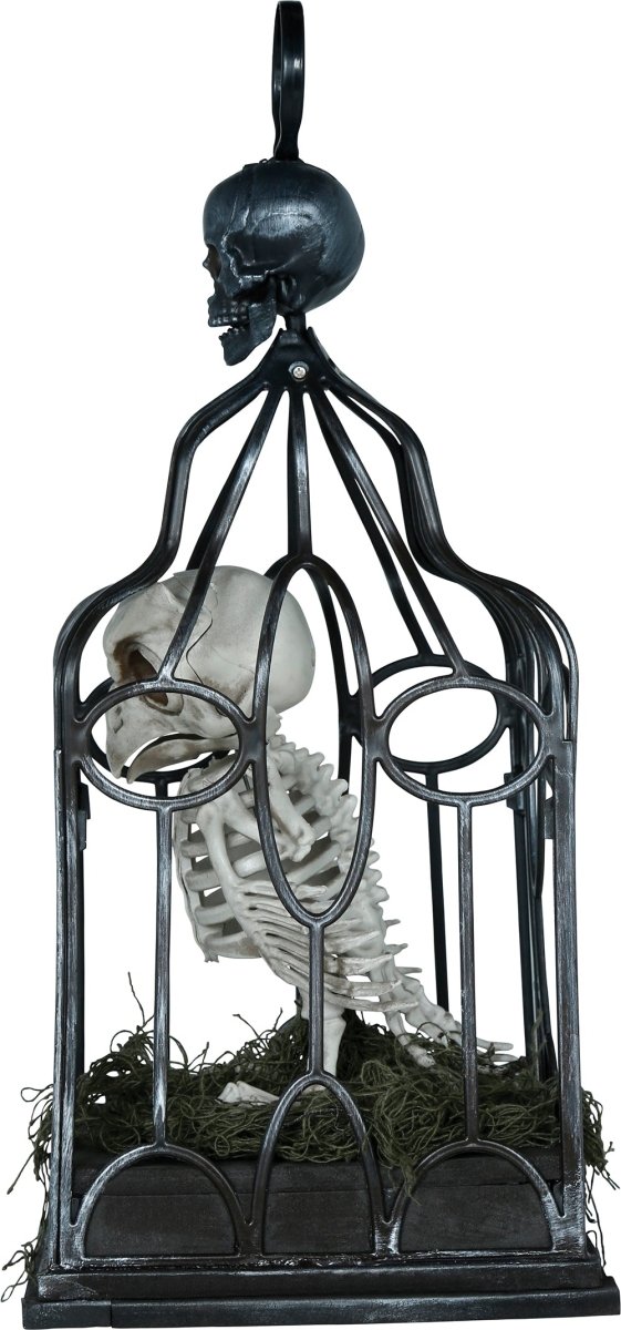 Halloween Skelet Uil In Kooi Met Licht, Geluid En Beweging