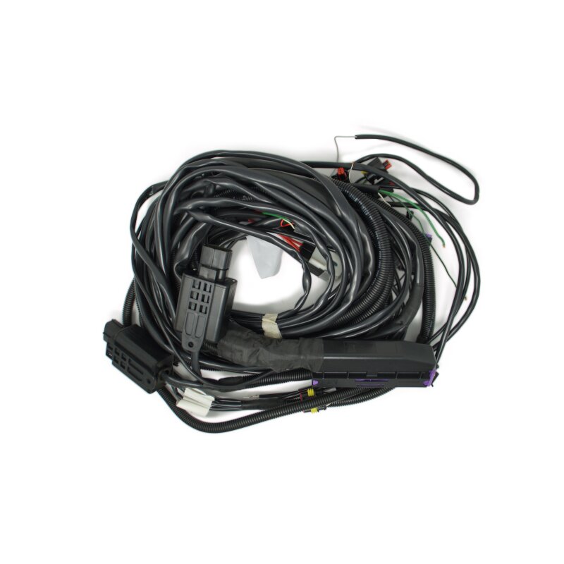 BRC Kabelbaum Fast Triton V6 (DE516144-2)