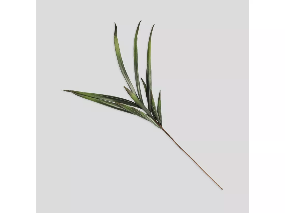Fleur Dalone vert moyen 13 x 60 x 90
