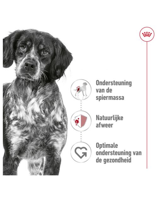 Royal Canin Medium Adult - Hondenvoer