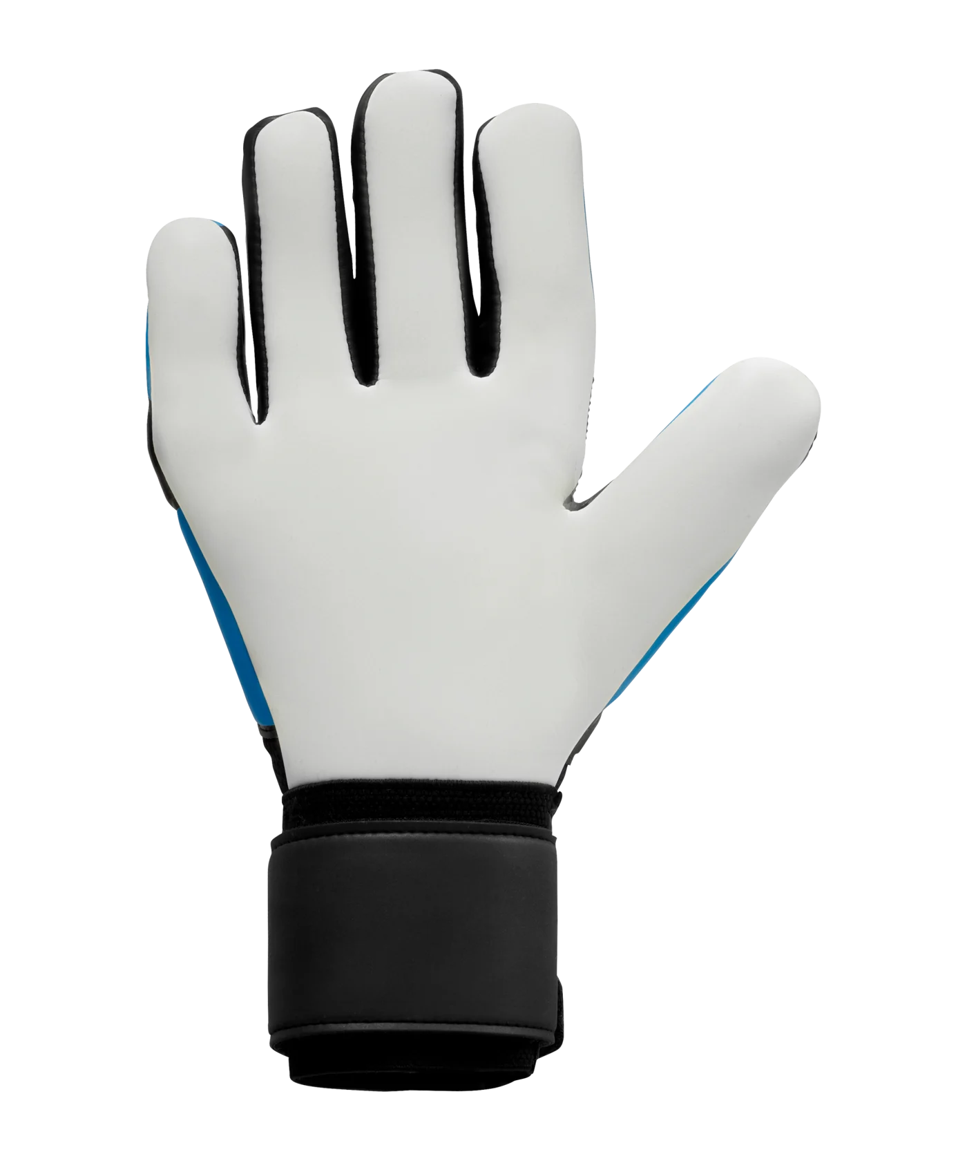 uhlsport Classic Soft HN Comp Torwarthandschuhe Schwarz Blau F01
