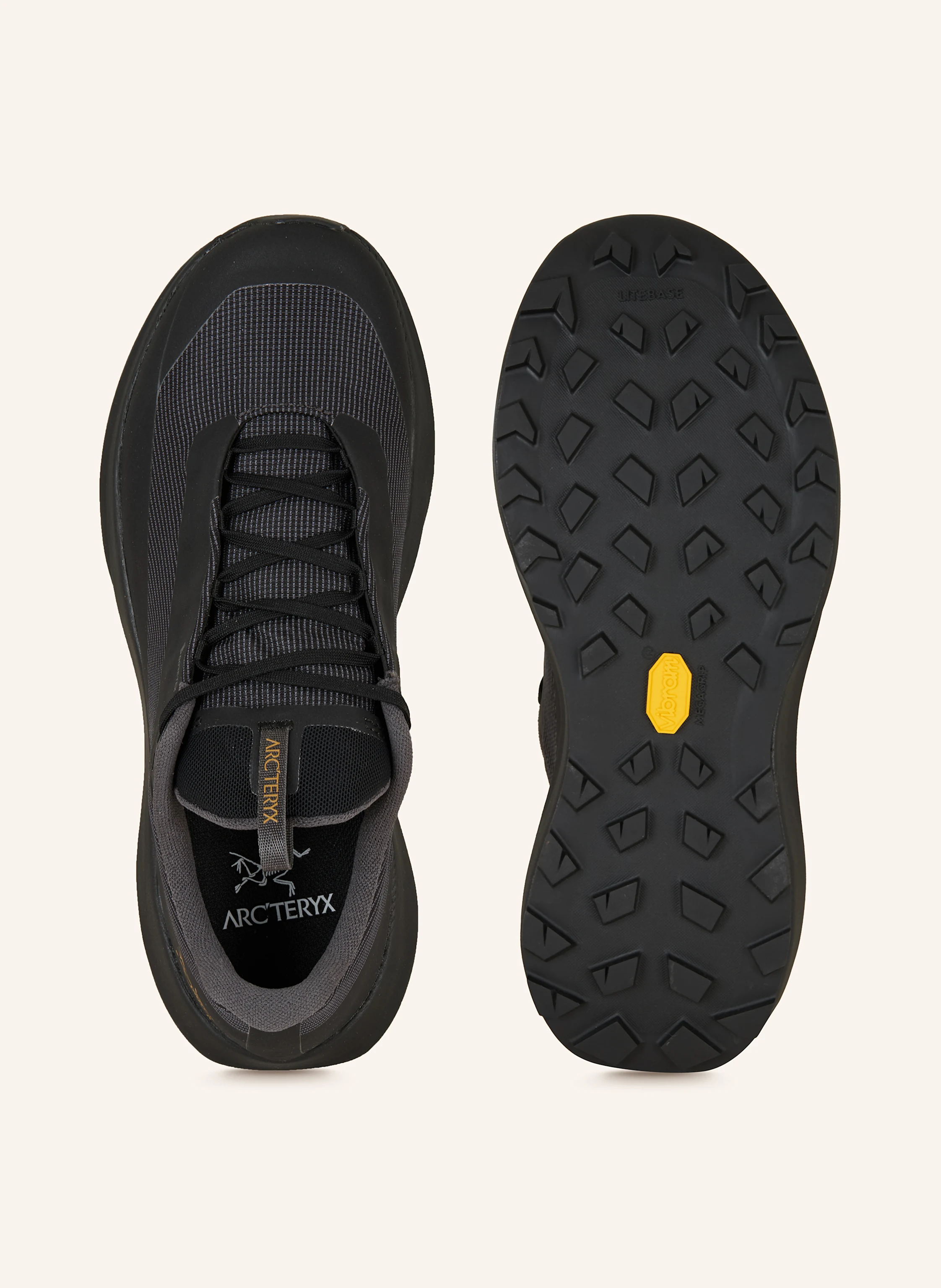 ARC'TERYX Trailrunning-Schuhe NORVAN LD 4 GTX