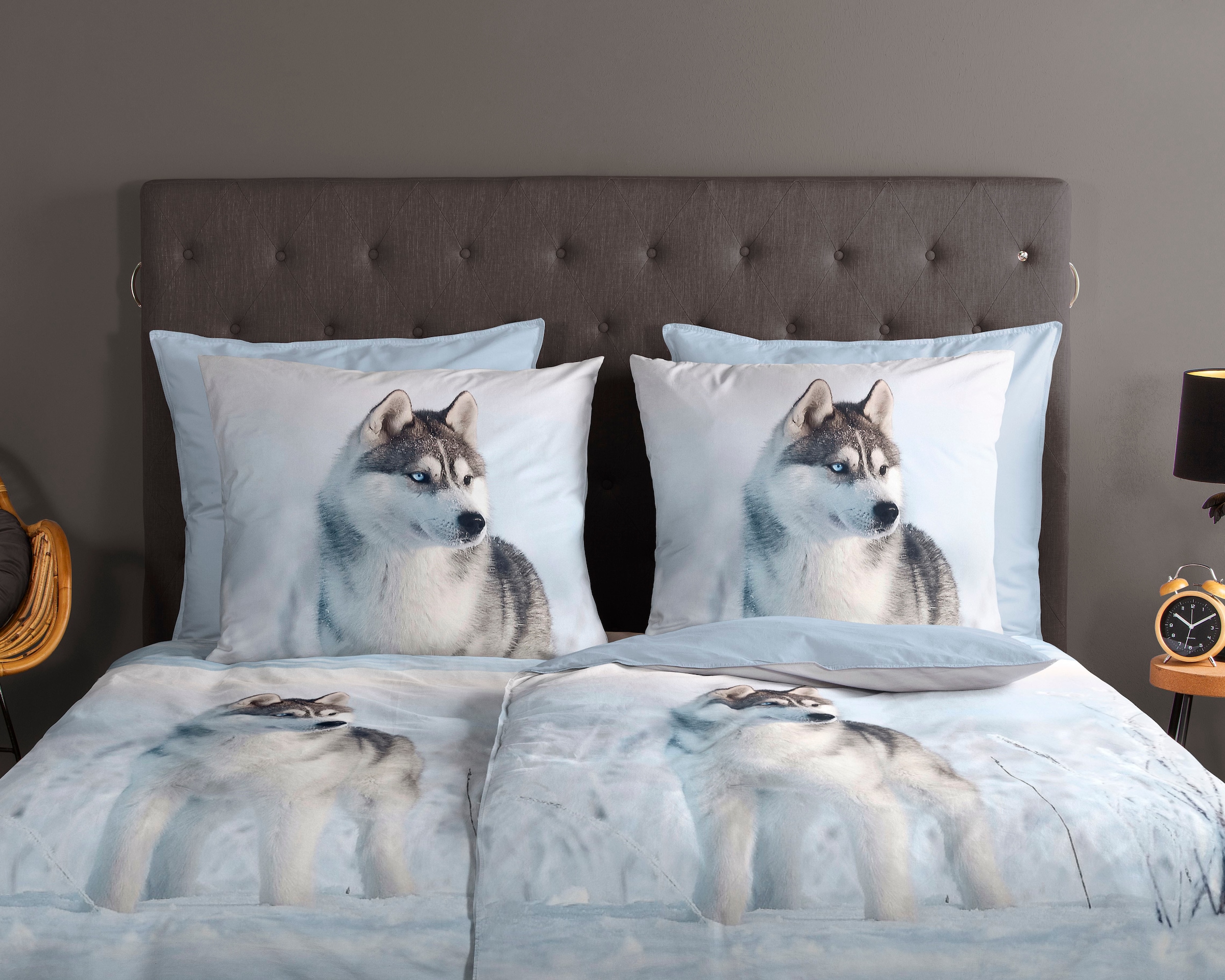 good morning Wendebettwäsche »Sachar« 2 Stk. tlg. Baumwolle, 135x200, Reissverschluss, Wendeoptik, Winter, Husky, Blau