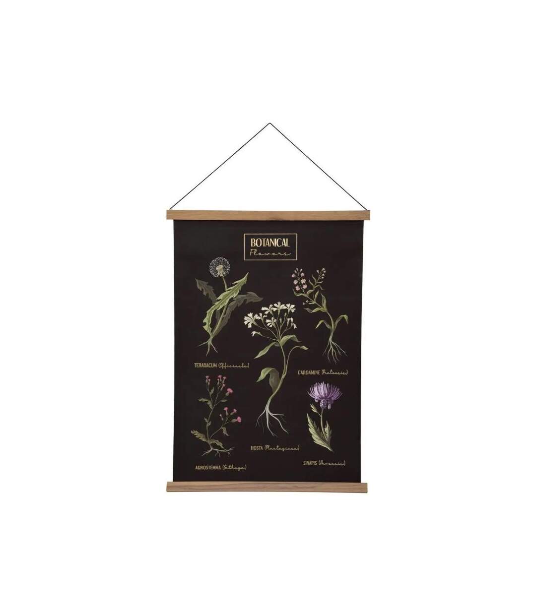 Toile Murale Déco Midnight Garden 50x73cm Noir