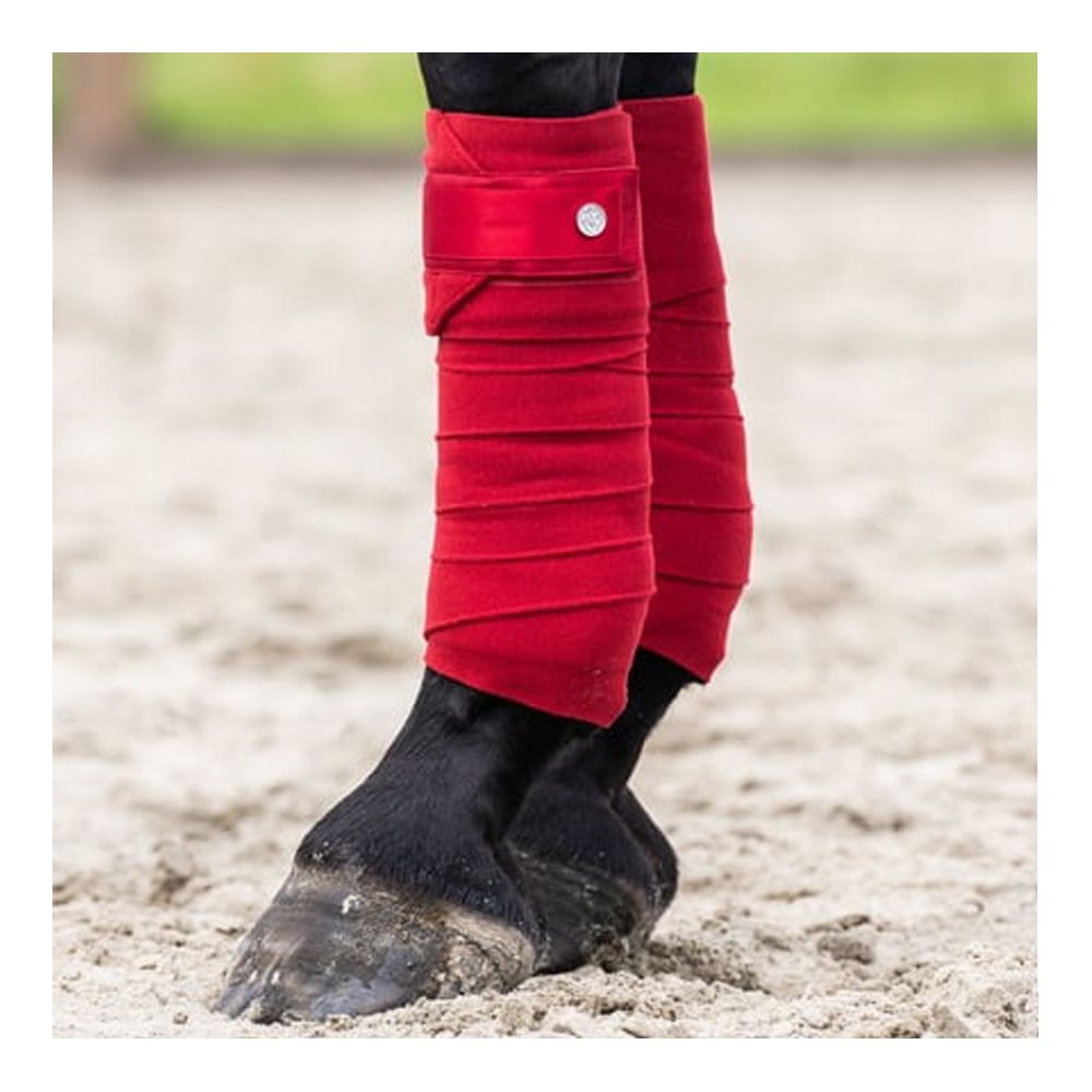 PS of Sweden SIGNATURE - Bandes de polo x4 chilli red