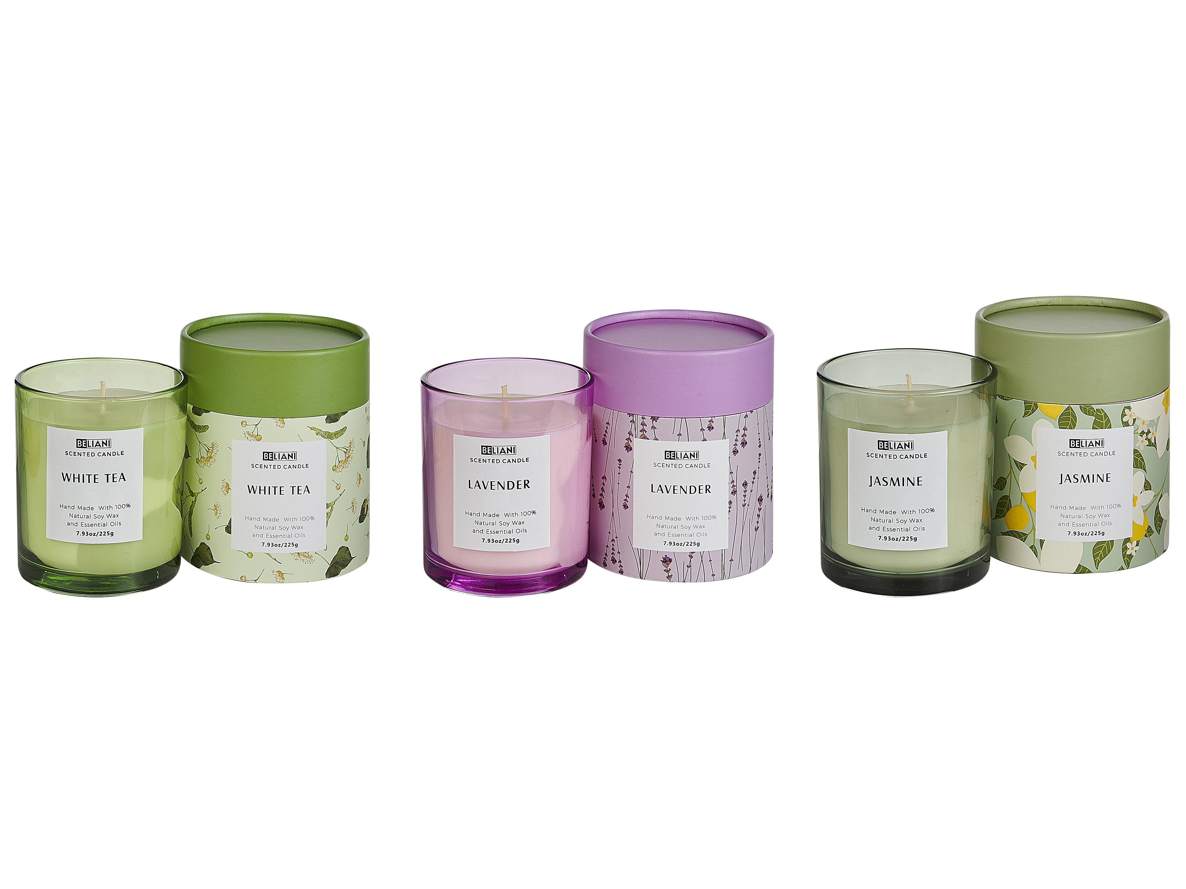 Set van 3 geurkaarsen COLORFUL BARREL Soja wax Frisse geurnoten Bloemige geurnoten