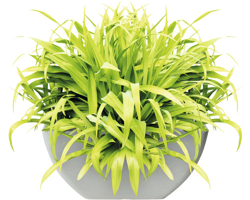 Lafiora kunststenen plantenbak 30 x 30 x 15 cm witte steen