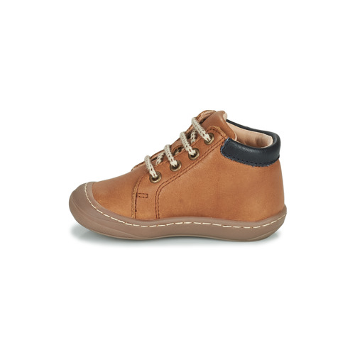 GBB - APORIDGE FLEX - Marron