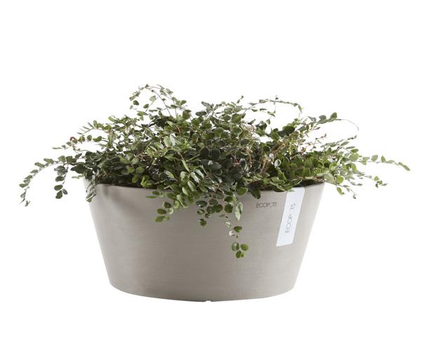 Ecopots Kunststoff-Topf Frankfurt, rund