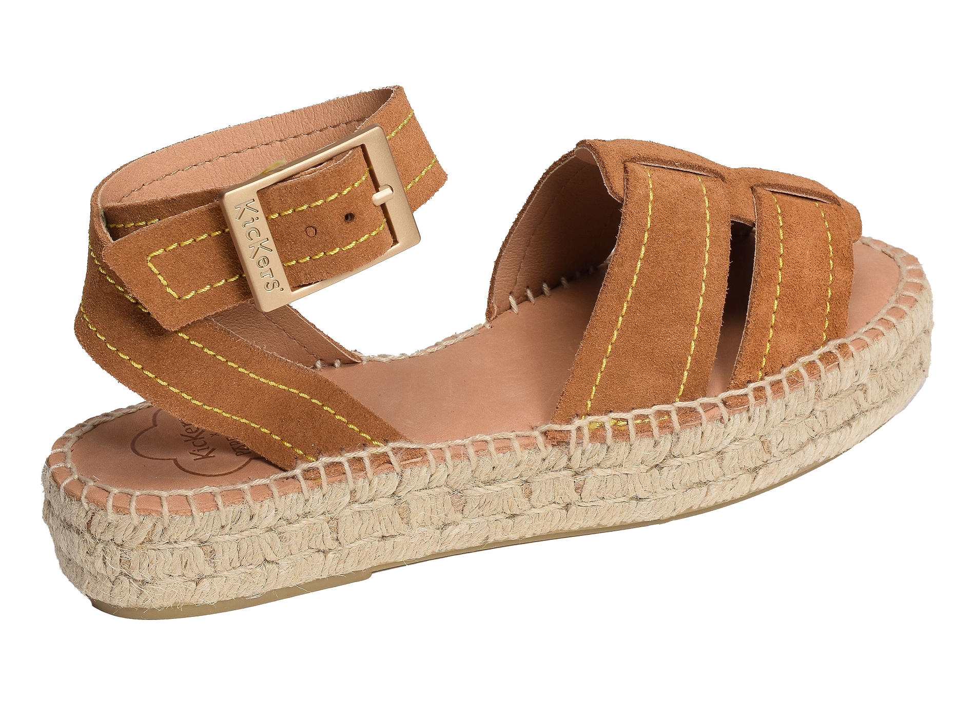 Kick parezi camel