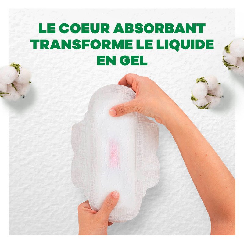 Serviettes hygiéniques long avec ailettes Cotton Bio Always