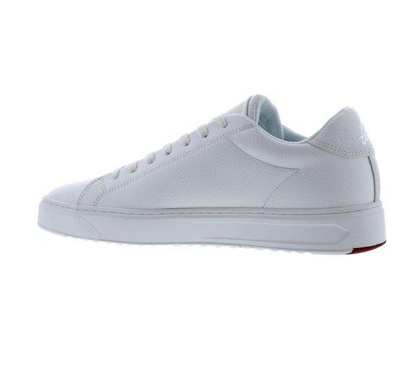 Loyalti Loyalti Patriot Reptile Trainers