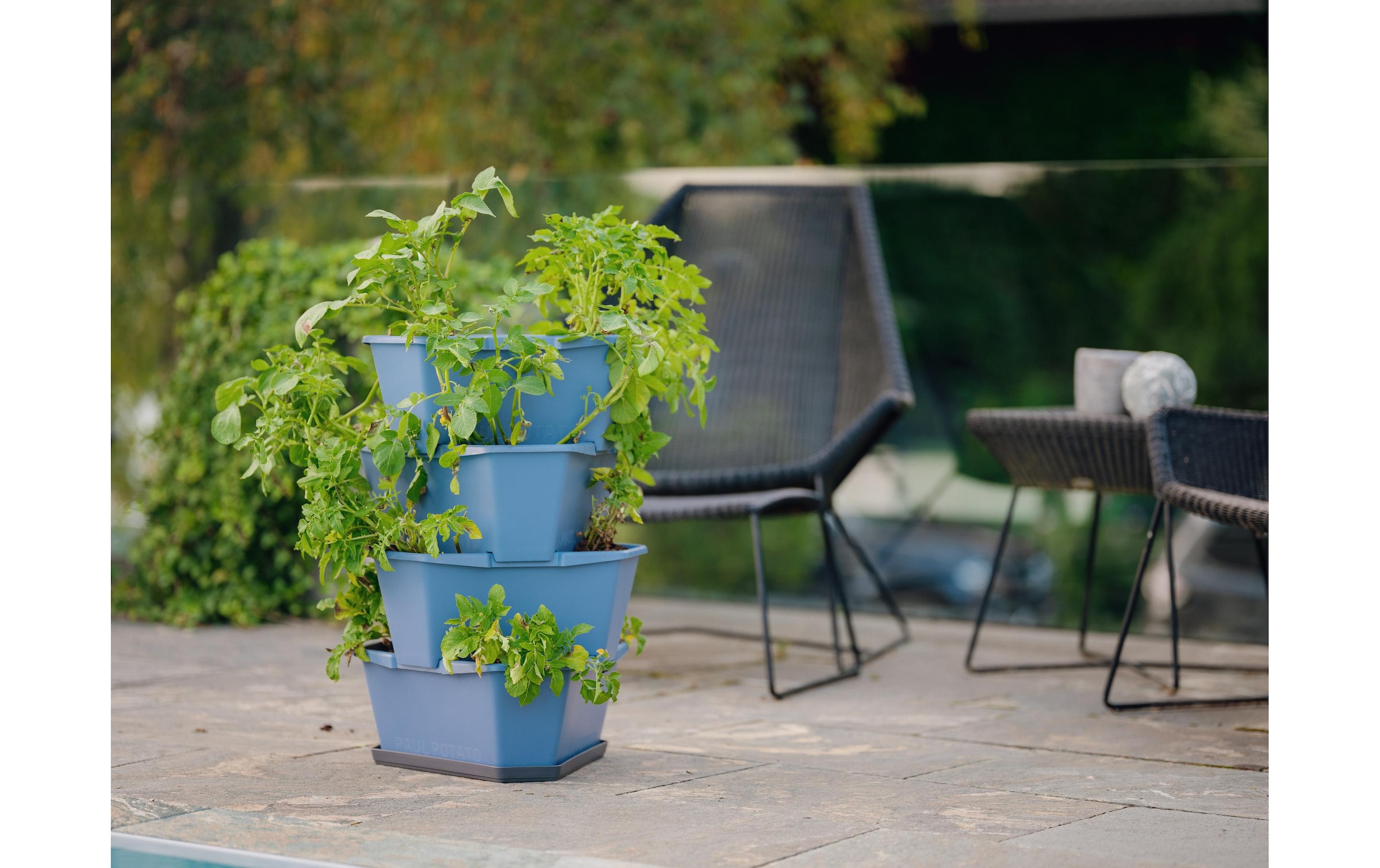 Gusta Garden Pflanzkübel »PAUL POT«