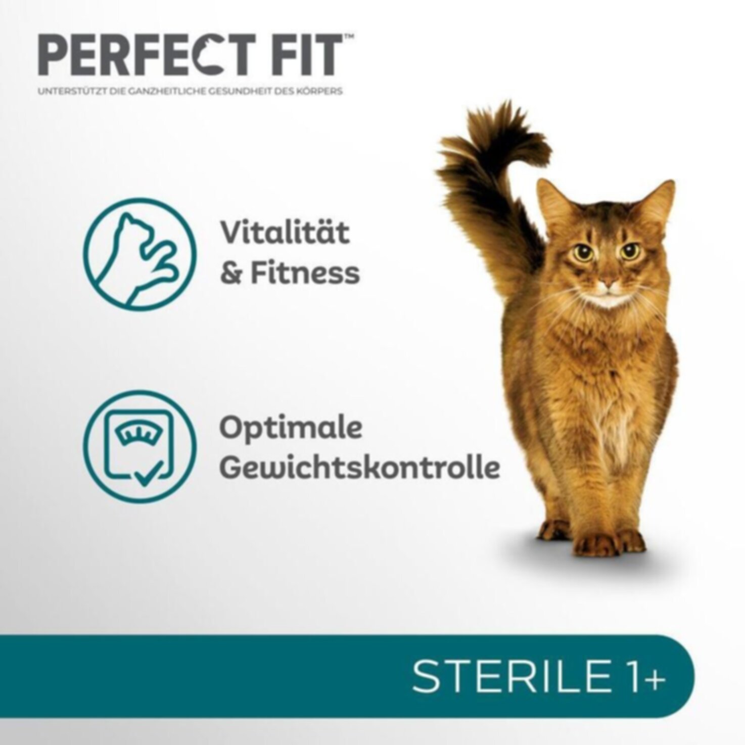 Perfect Fit Sterile
