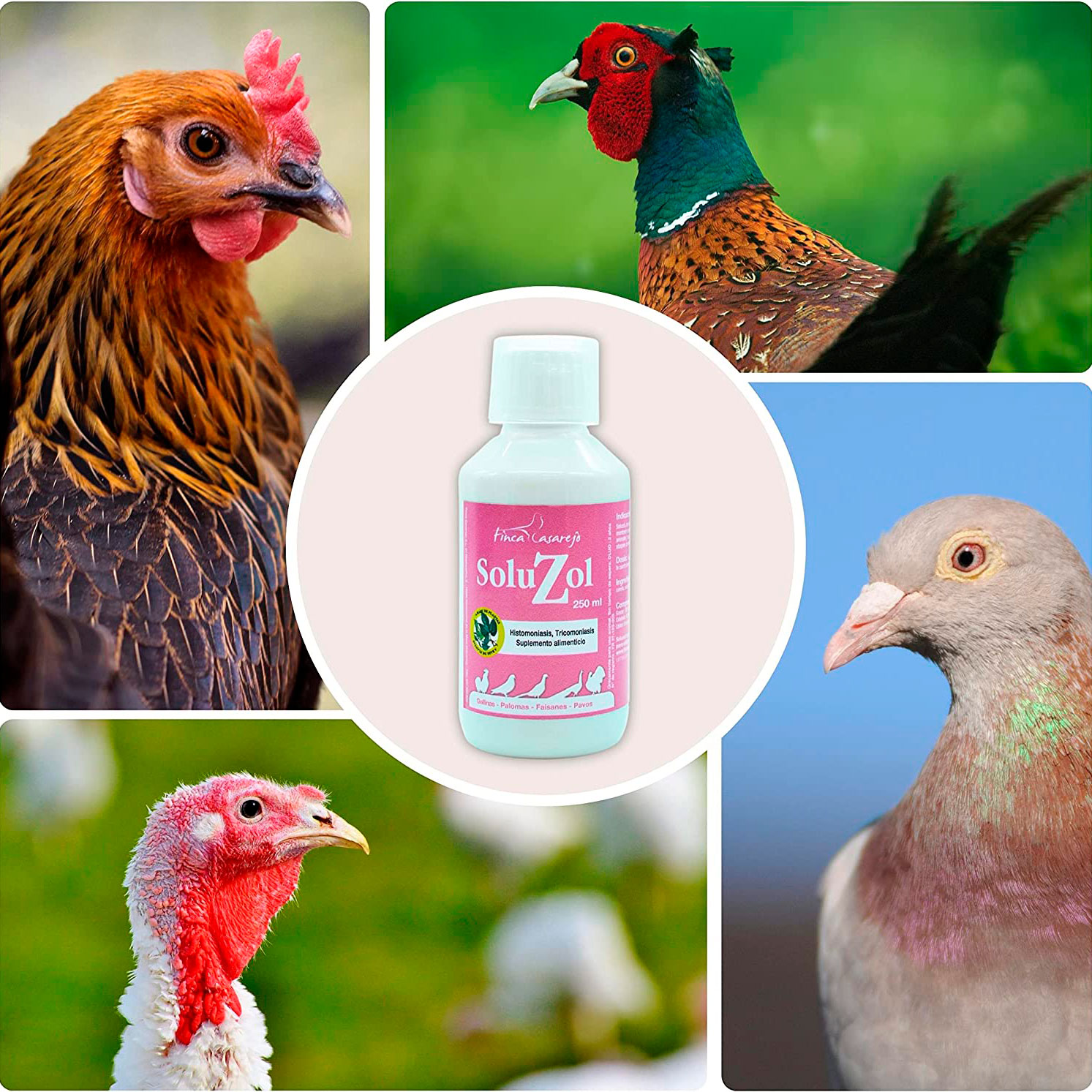 Finca Casarejo Soluzol previne histomoníase e tricomoníase de forma natural em aves.