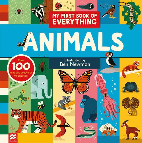 My First Book of Everything: Animals - My First Book of Everything (Hardback)
