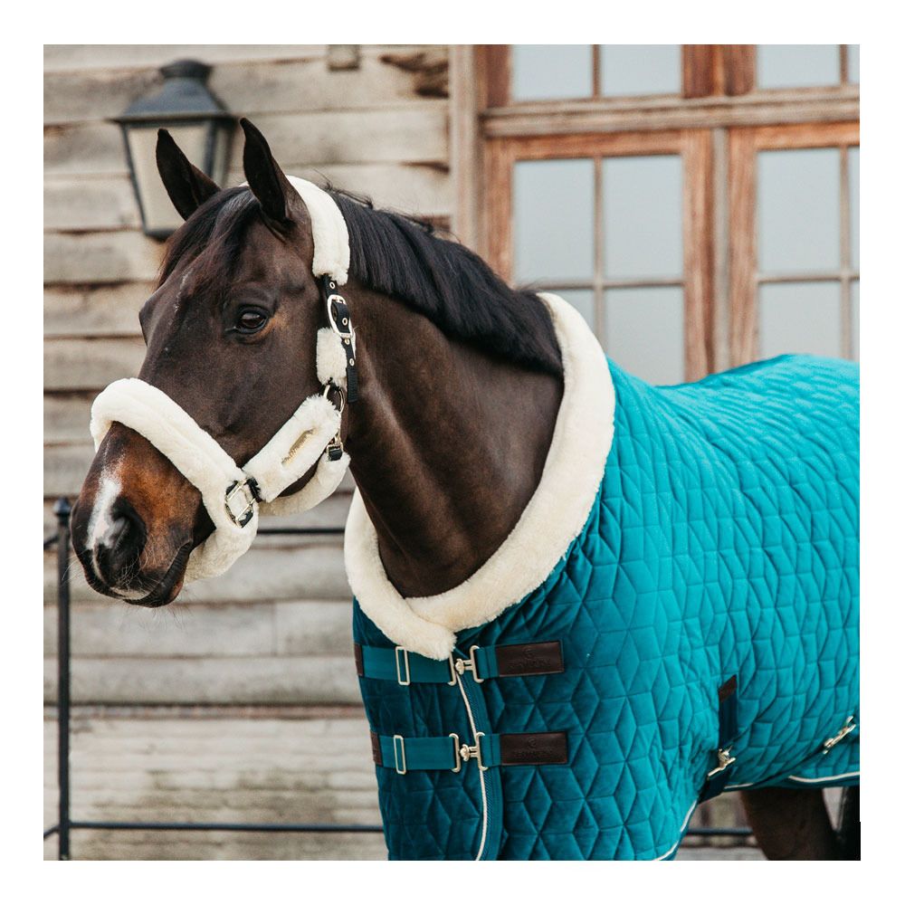 Kentucky VELVET 160G - Couverture de présentation emerald