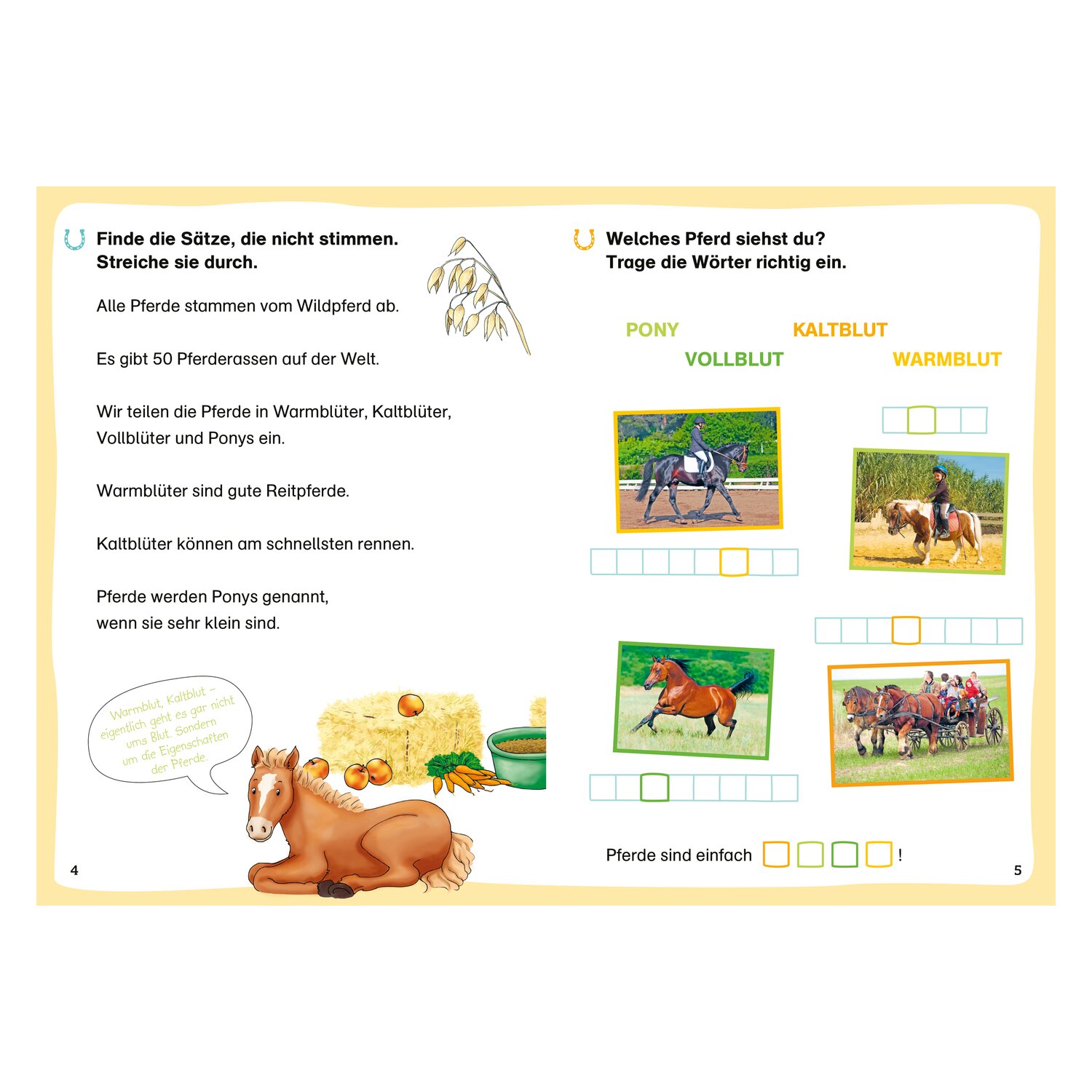 WAS IST WAS Erstes Lesen - Leserätsel Pferde und Ponys