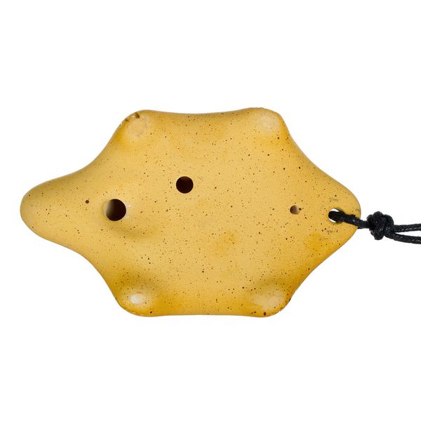 Thomann 7H G Turtle V