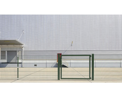 ALBERTS Flexo Plus 8/6/8 100 x 80 cm enkele poort met metalen gaaspanelen, inclusief palen van 8 x 8 cm, groen