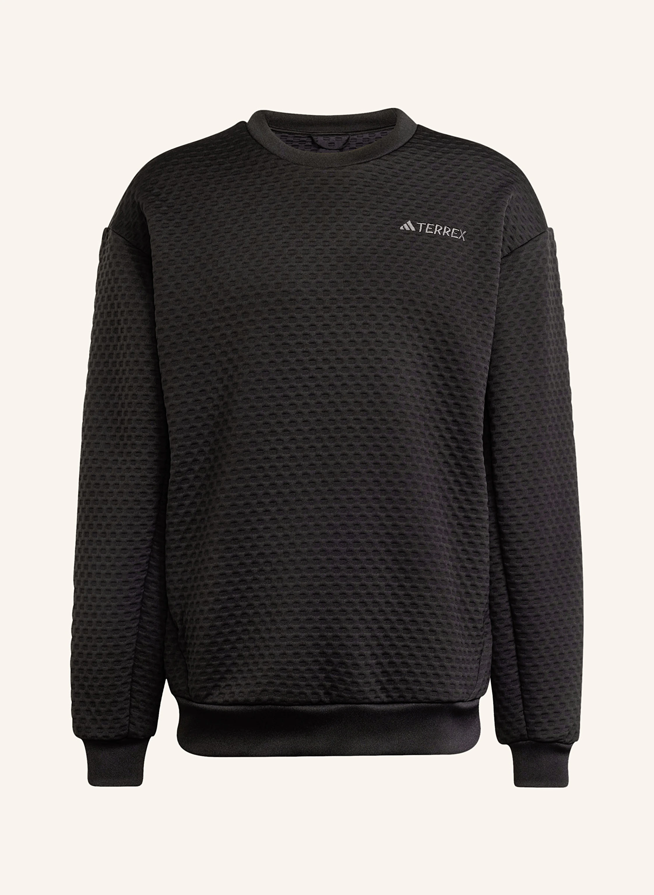 adidas TERREX Sweatshirt TERREX XPLORIC