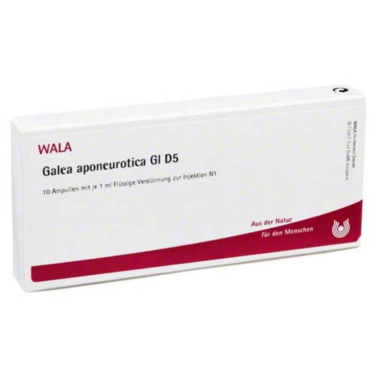 Galea Aponeurotica GL D 5 Ampullen, 10X1 ml