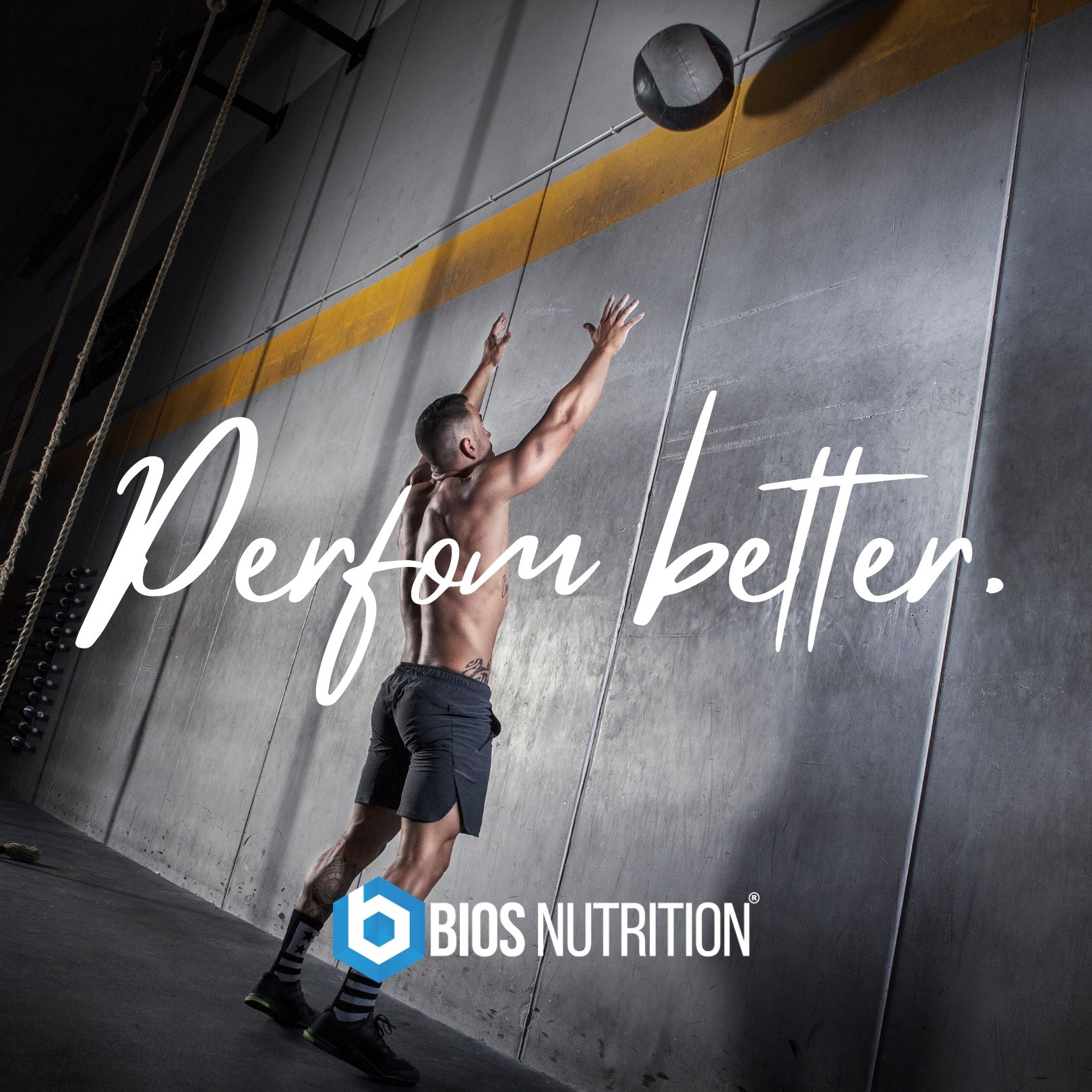 Bios Nutrition Vegan Protein - pflanzliches Protein ohne Laktose & ohne Soja
