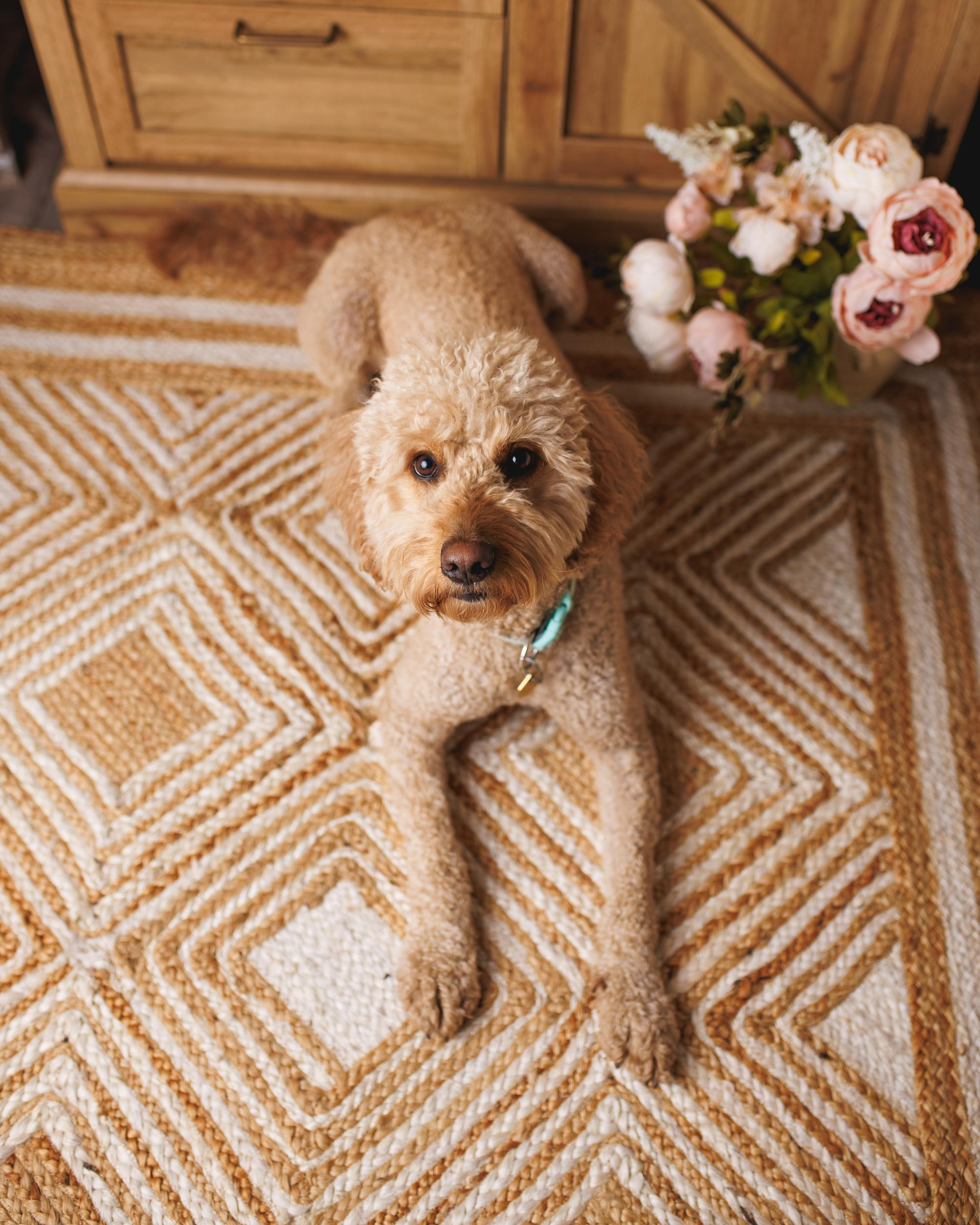 Vloerkleed MENGEN Beige 200 x 300 cm Jute