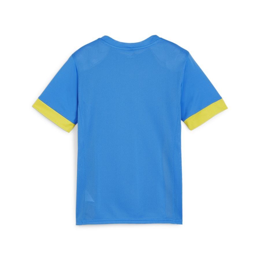 PUMA T-shirt d'Entraînement teamGOAL - Bleu/Jaune Enfant