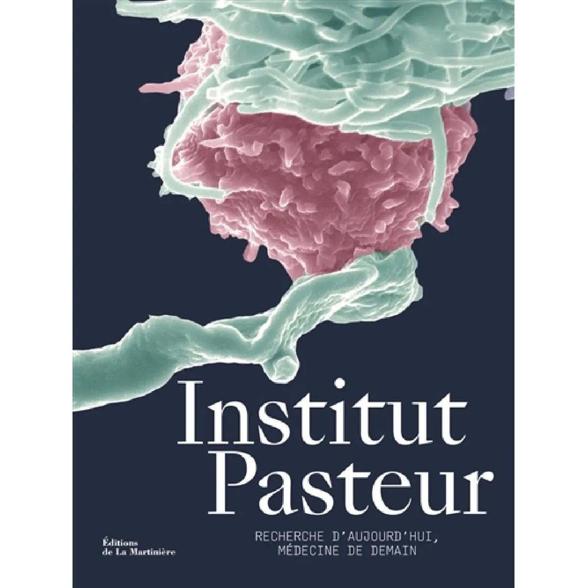 Institut Pasteur : recherche d'aujourd'hui, médecine de demain · Occasion