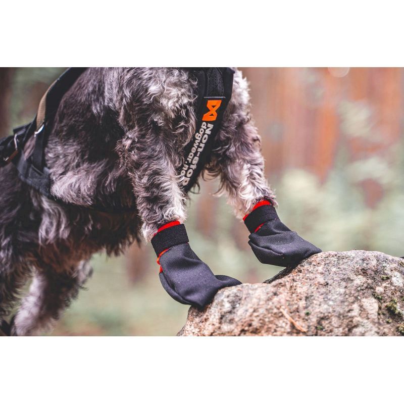 Solid Socks x 4 - Chaussettes pour chien