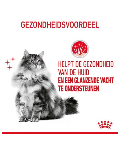 Royal Canin Hair & Skin - In Gravy - Kattenvoer - 85 g