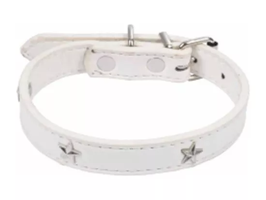 Collier Fantaisie pour Chien 