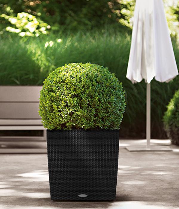 LECHUZA® Kunststoff-Topf Cube Cottage,