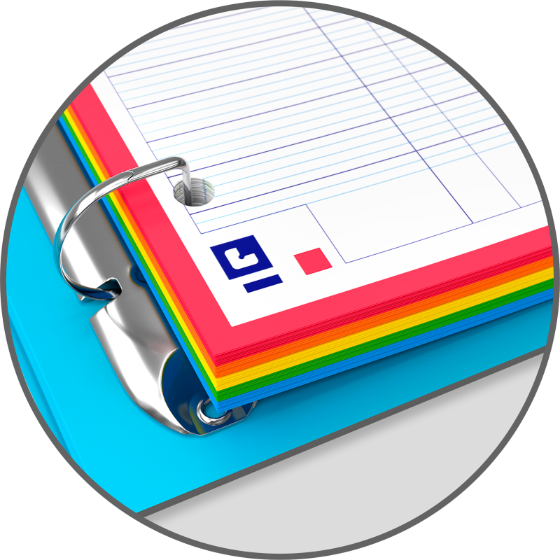 Easy Organiser Oxford Classeur Color System A4 D30 PP +120P Seyes 5Coul