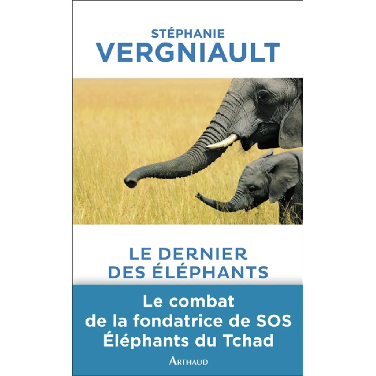Le dernier des éléphants · Occasion
