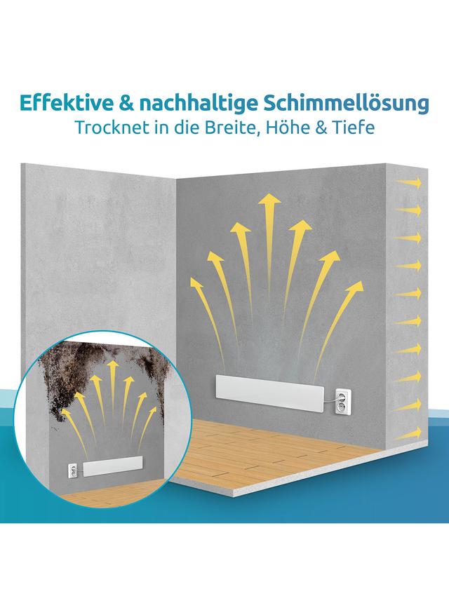 Schimmeldry