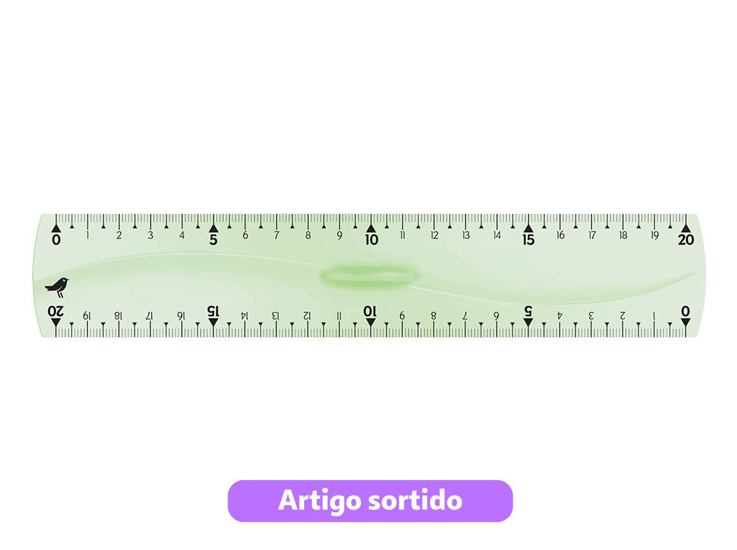 RÉGUA INQUEBRÁVEL AUCHAN 20CM DUPLO DECIM CORES SORTIDAS