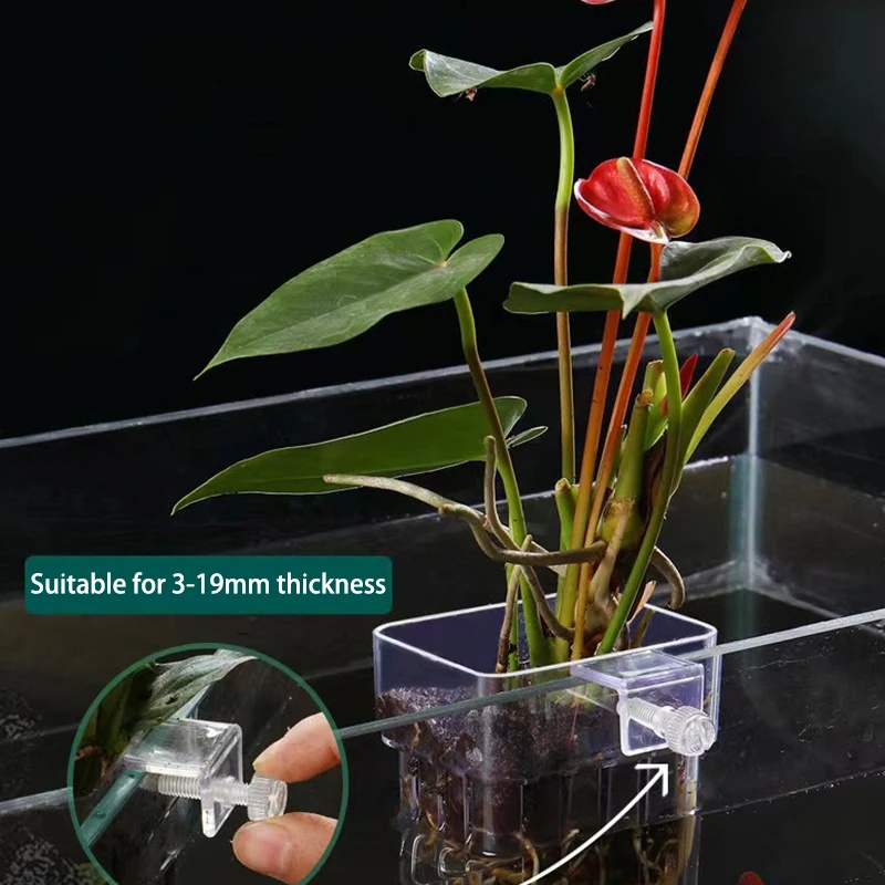 AquastoreXL Acryl beplantingsbeker voor waterplanten