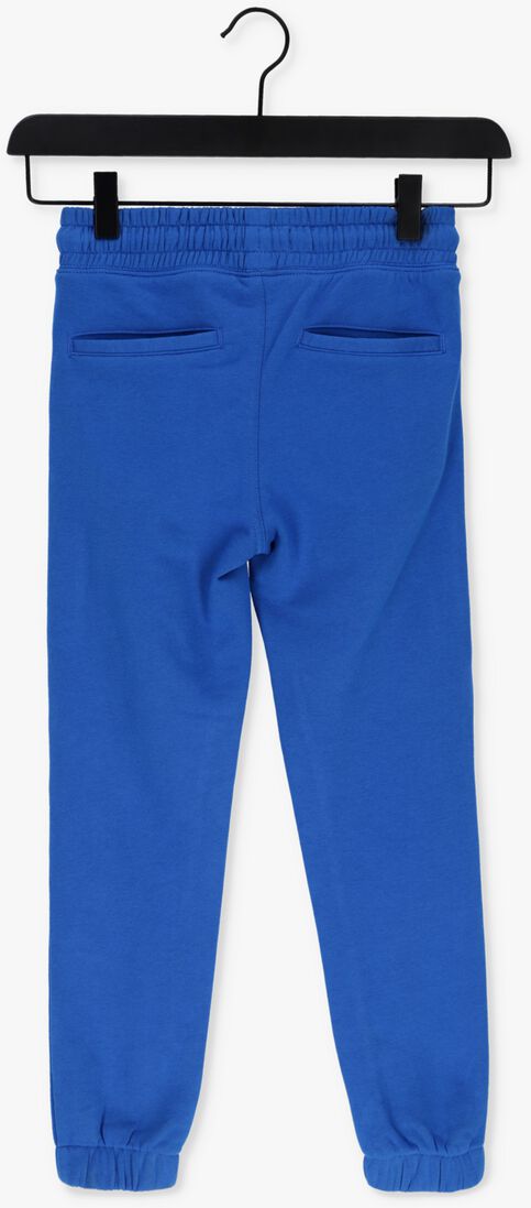 RAIZZED blauwe raizzed joggingbroek stephens